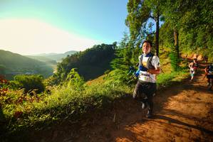 BIB: 
                            <button type="button" onclick="openModal(19169690)" class="btn btn-primary btn-sm float-right btn-popup" data-toggle="modal" data-target=".modal-high-quality">
                        <i class="fas fa-shopping-cart"></i> Add to Cart
                    </button>
                                            <button type="button" onclick="isThisMe(19169690, true)" class="btn btn-success btn-sm float-right btn-popup btn-isme hidden" data-toggle="tooltip" data-placement="bottom" title="นี่คือรูปของคุณใช่ไหม คลิกที่นี่เพื่อเอาเข้าอัลบั้ม">
                        <i class="fas fa-plus"></i> Add to album
                    </button>
                    <button type="button" onclick="isThisMe(19169690, false)" class="btn btn-warning btn-sm float-right btn-popup btn-isnotme hidden">
                        <i class="fas fa-ban"></i> Remove from album
                    </button>